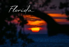 Florida Beach Sunset 2"x3" Photo Magnet